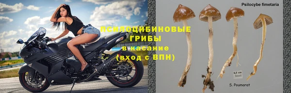 Альфа ПВП Переславль-Залесский