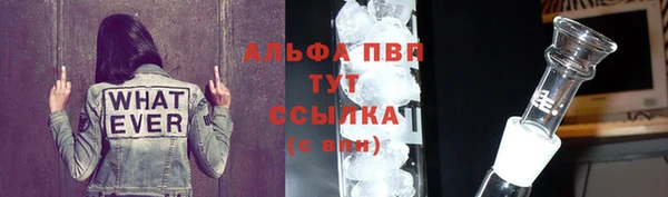 ПСИЛОЦИБИНОВЫЕ ГРИБЫ Медвежьегорск