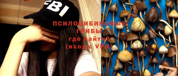 дживик Балахна
