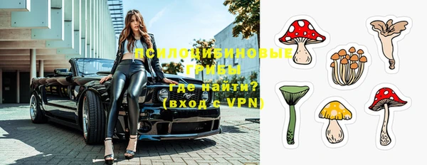 стафф Баксан