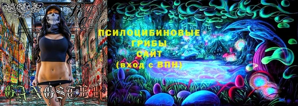 стафф Баксан