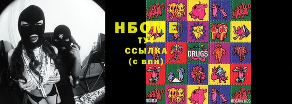 шишки Аркадак