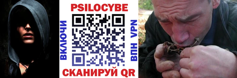 Псилоцибиновые грибы прущие грибы как найти Бодайбо